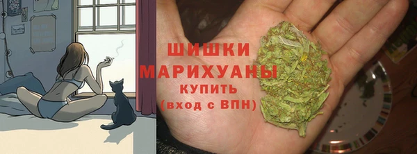 первитин Горнозаводск