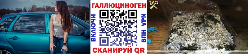 Купить  Чаплыгин  Псилоцибиновые грибы GOLDEN TEACHER 
